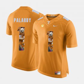 #1 Michael Palardy Pictorial Fashion Tennessee Men's Orange Jersey 257316-224