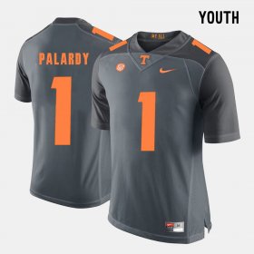 #1 Michael Palardy College Football Vols Youth Grey Jersey 687400-966